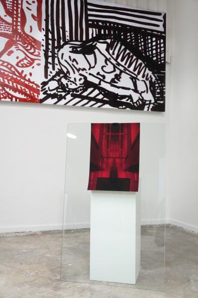 Elodie Lesourd, vue d'exposition, « Freux Follets », extraits des œuvres de Steven Shearer « Untitled » et Dimitris Foutris « Untitled 211 », BBB centre d'art, 2016