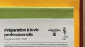 Préparation à la vie professionnelle 